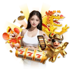 t-ded88s ทางเข้า